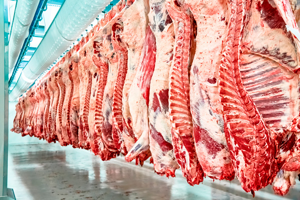 Ukraine increased exports of cattle and beef by 14.5% in January-October 2023